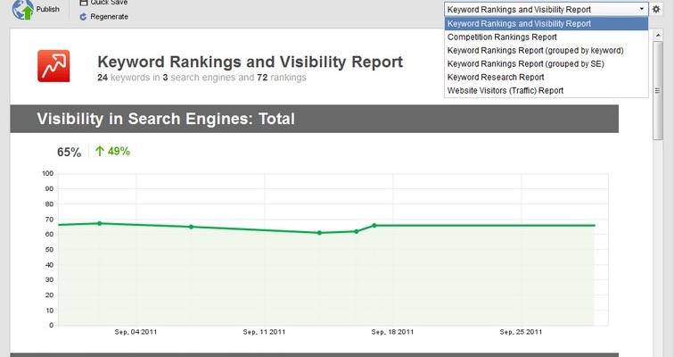 Keyword Rankings and Visibility Report