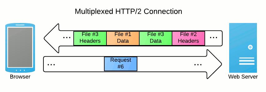 Multiplexed HTTP/2 Connection Multiplexed HTTP/2 Connection