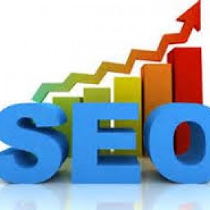 Success of SEO Professionals