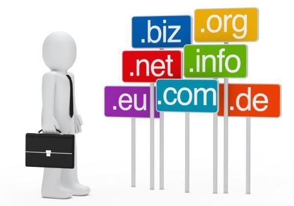 Selecting Domain Name