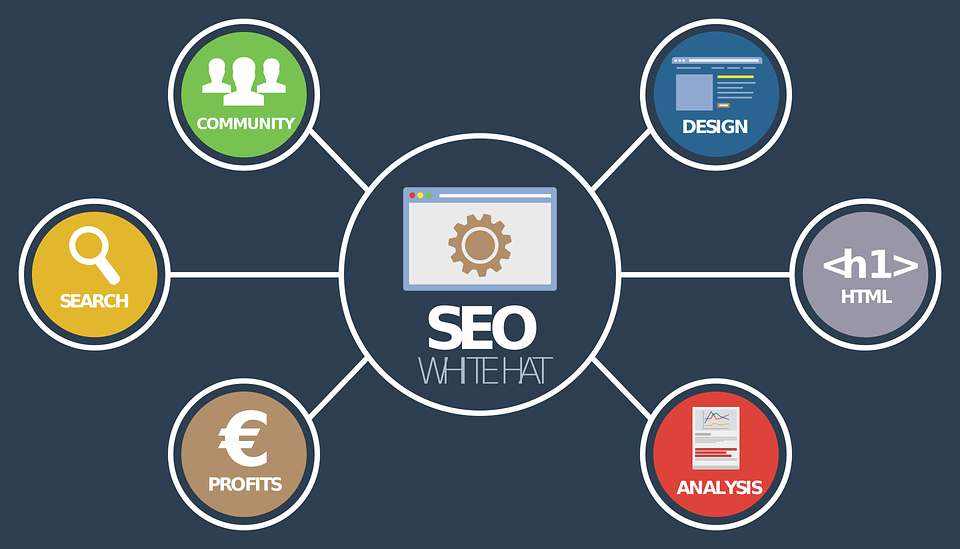 Contact Sydney Local SEO Company