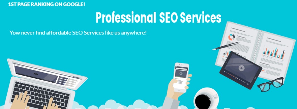 Professional SEO Services