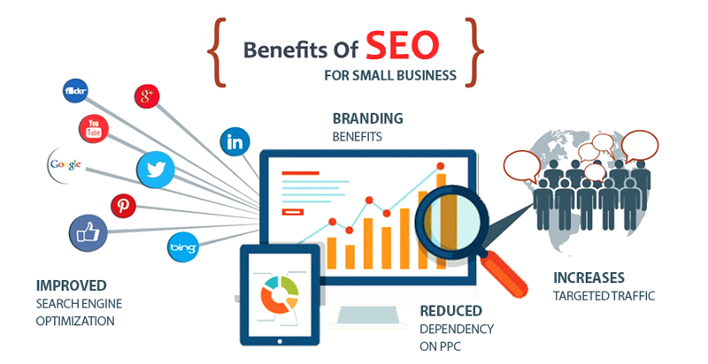 SEO Small Business